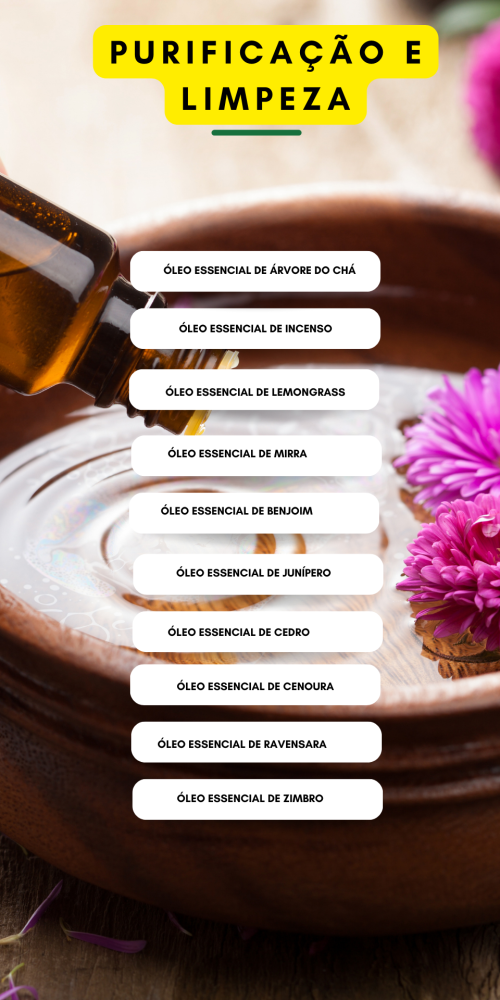 Portugues-2.png